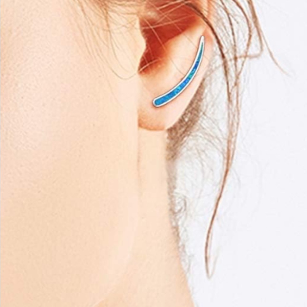 Elegant Blue Opal Silver Earrings
